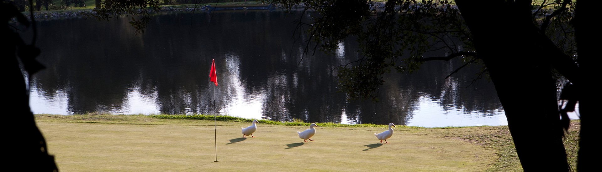 Camp de Golf Municipal Matadepera